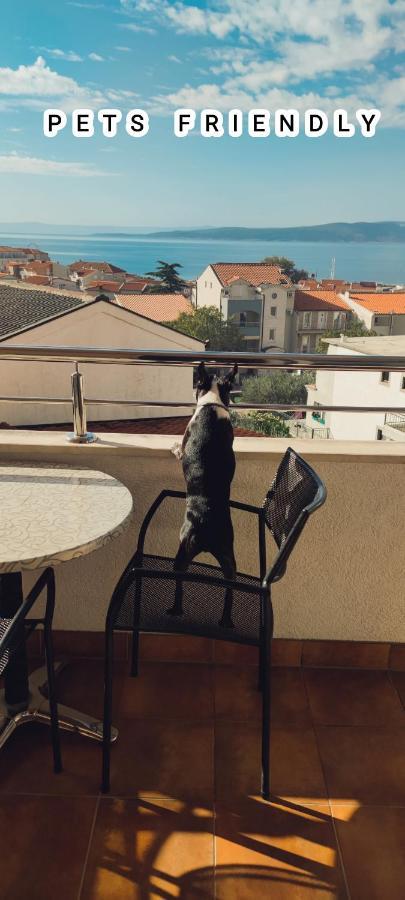 Apartments Vila Adrijana & Fitness Studio Wolf Башка-Вода Экстерьер фото